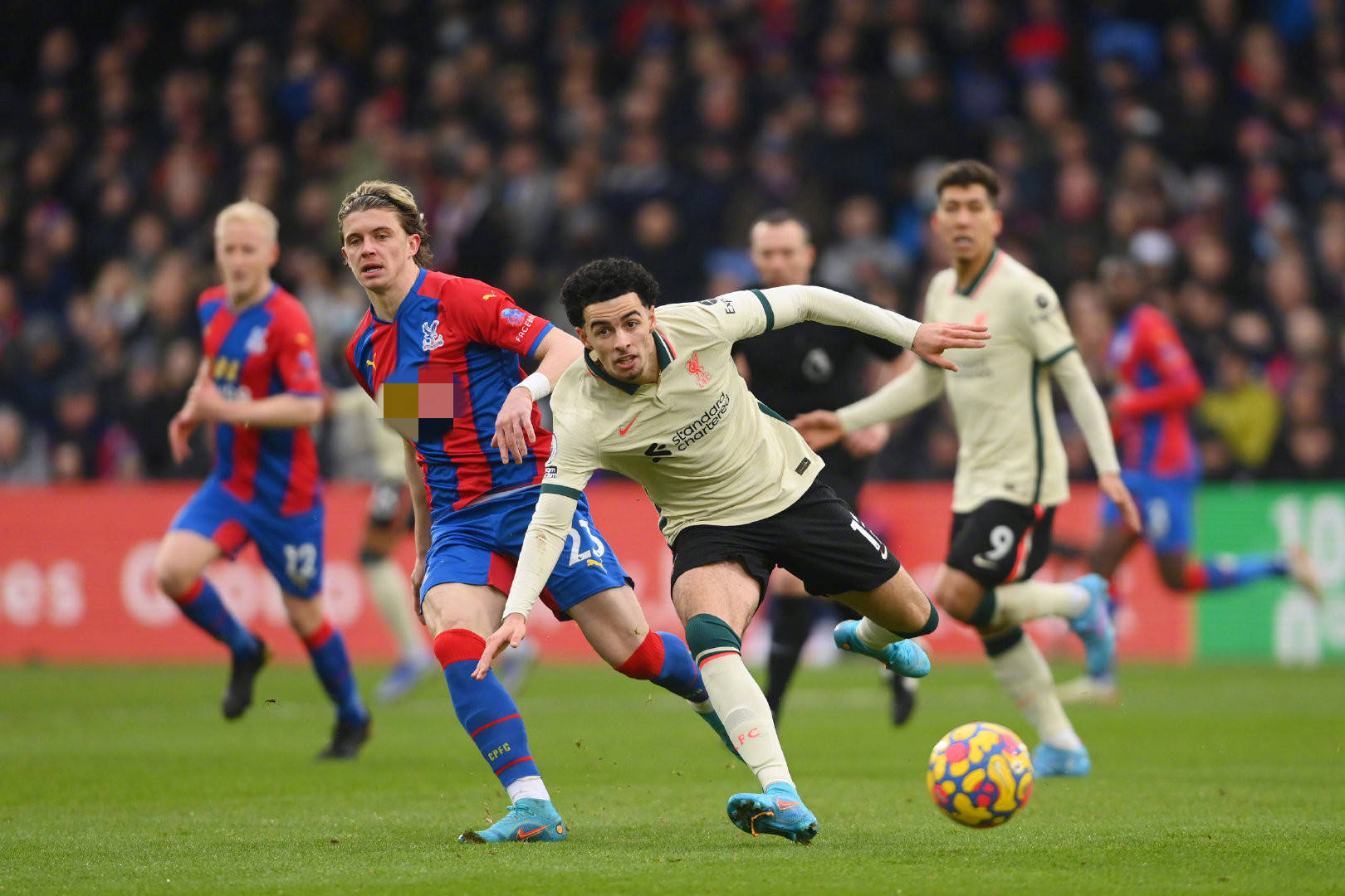 并不少见 并不少见